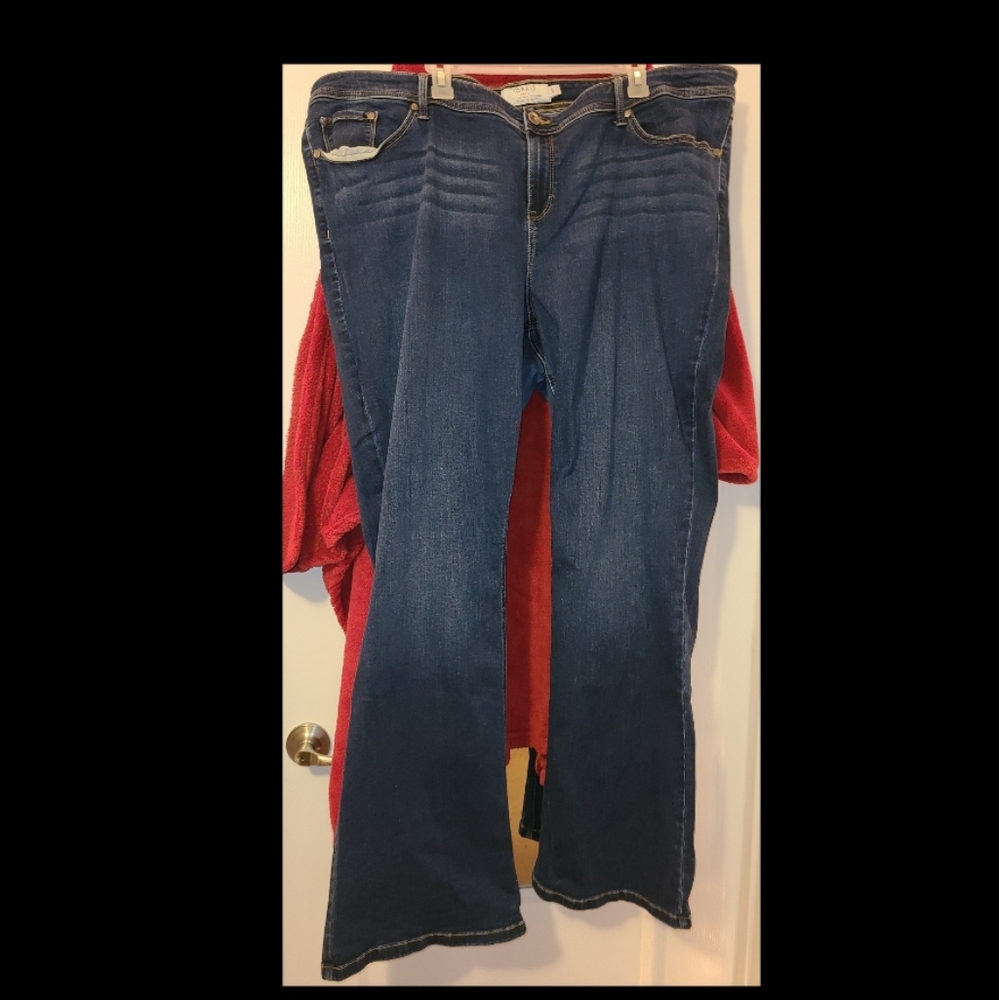 Torrid Flare Jeans